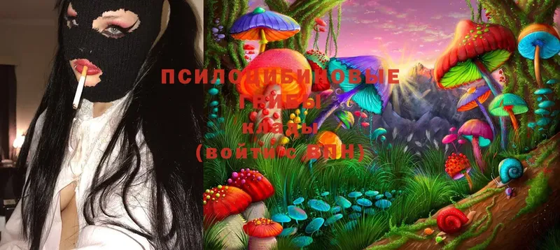 Псилоцибиновые грибы Cubensis Нижняя Тура